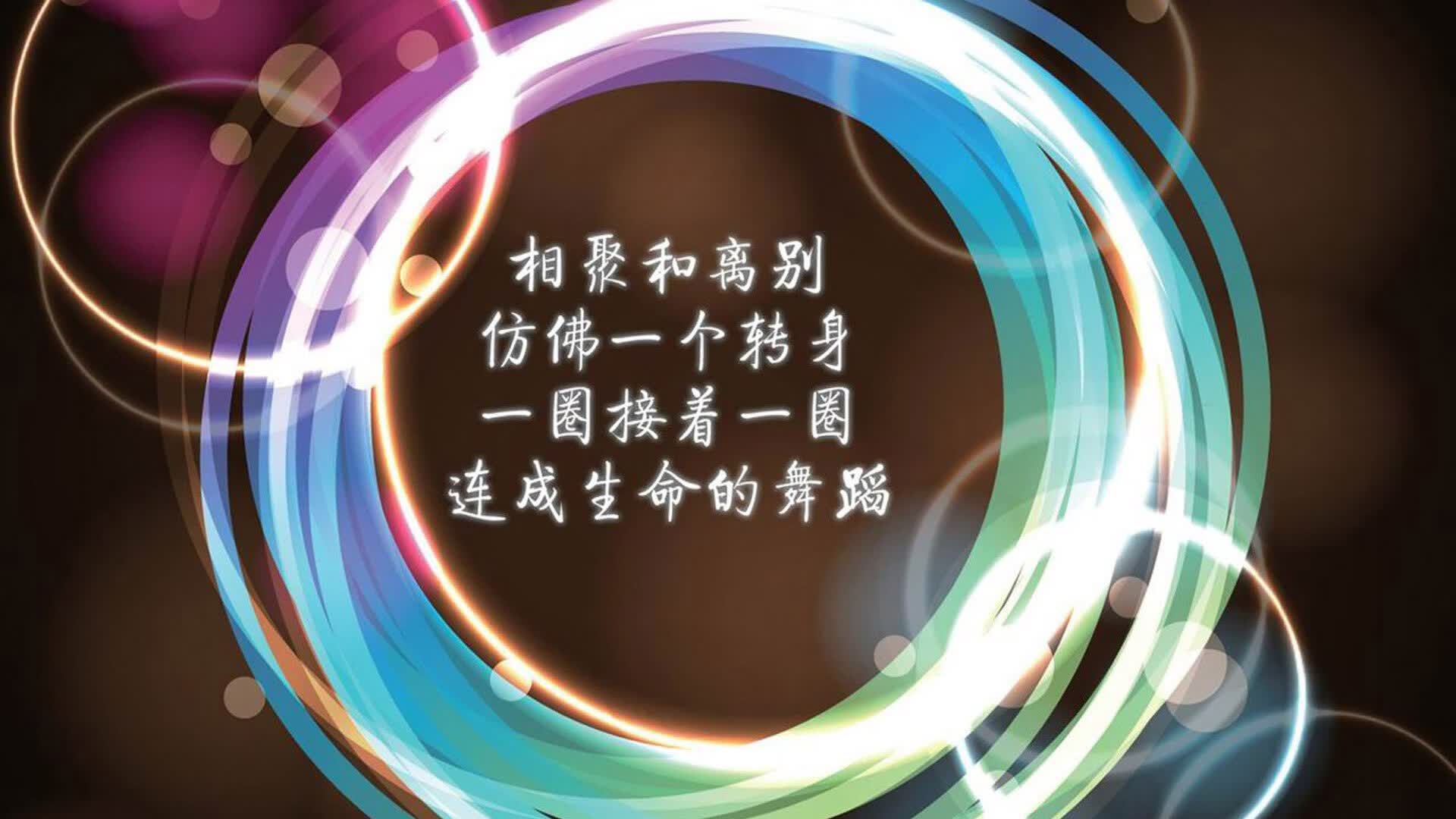 世界体操公开赛:创新元素与动作安全并重获得高评分,世界体操锦标赛2021奖牌榜