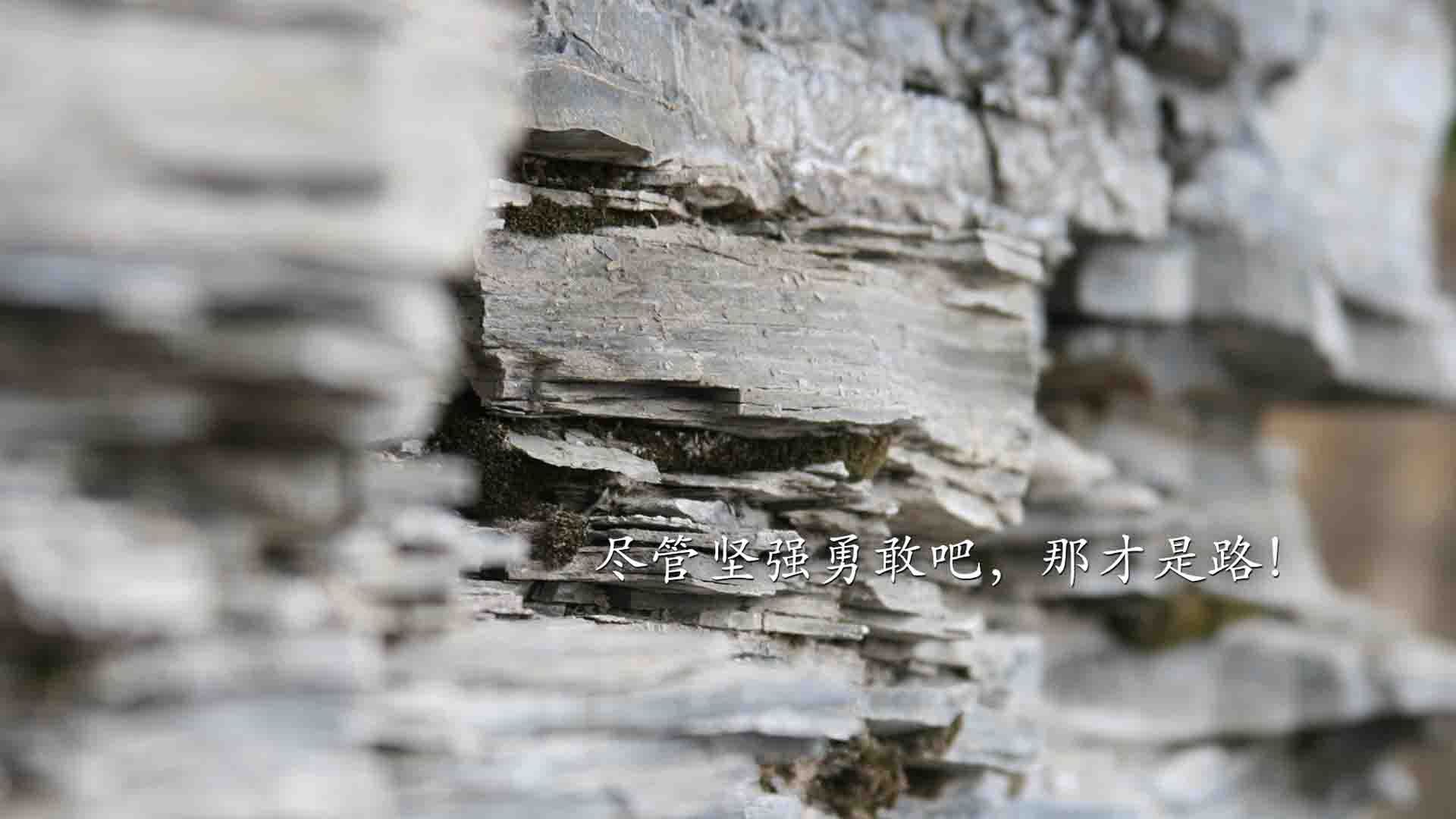 世界拳击超级夜：青年拳手市场化推动赛事生态革新，世界拳击选手